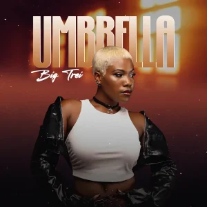 Big Trei - Umbrella