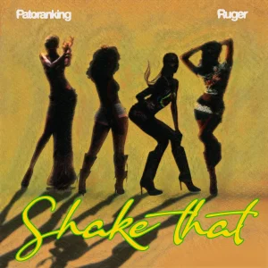 Patoranking - Shake That Ft. Ruger
