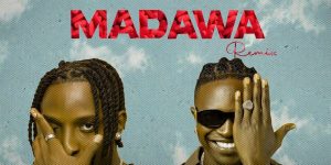Sani Boy – Madawa Remix Ft Mr Seed