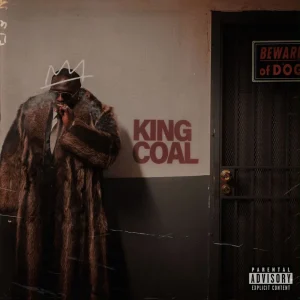 wande-coal-nobody-knows-afrobeats-nigeria-2026