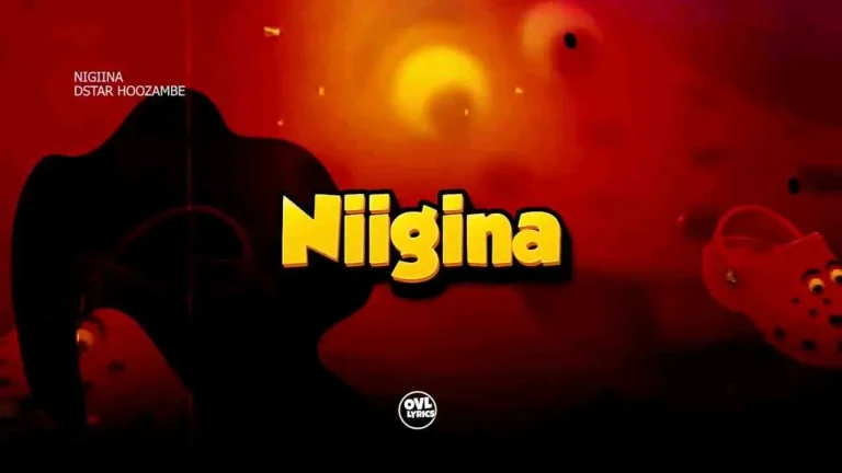D Star Music – Niiginaa Cover art