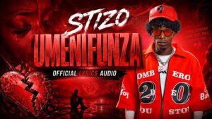 Stizo – Umenifunza