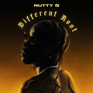 Nutty O – Too Much Ft. Fido