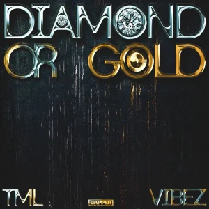 Tml Vibez – Diamond or Gold