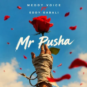 Meddy Voice - Mr Pusha Ft. Eddy Gabali