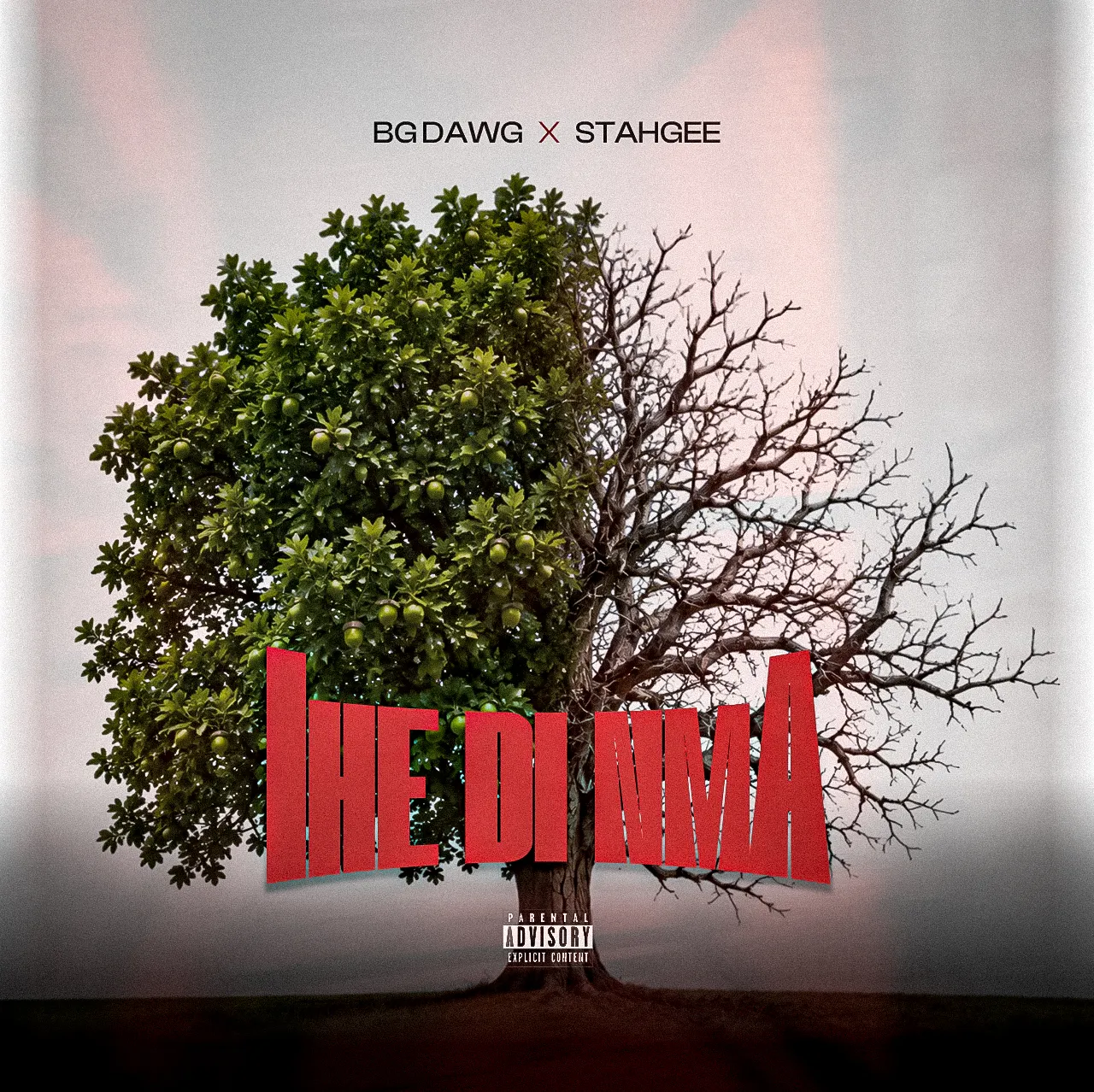 BG Dawg – Ihe Di Nma Ft. Stahgee