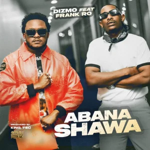 Dizmo - Abana Shawa Ft. Frank Ro