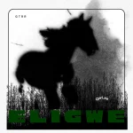 QarLee – ELIGWE