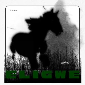QarLee – ELIGWE